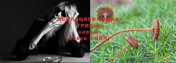mdpv Михайловск