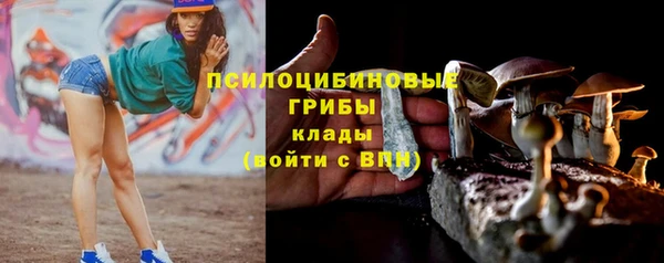 Альфа ПВП Михайлов
