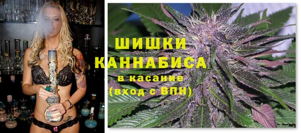Альфа ПВП Михайлов