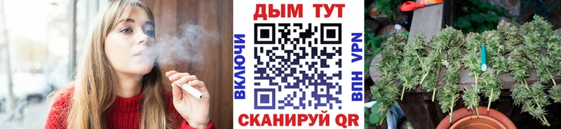 Канабис OG Kush Петухово